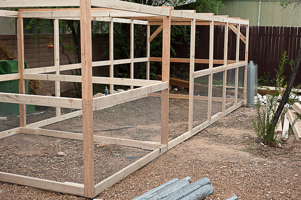 how to build a chicken coop | Speck of Awesome